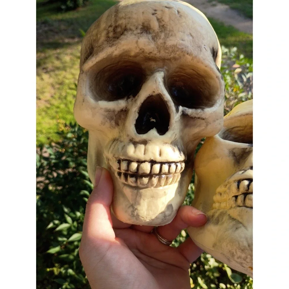 Halloween Skull Decoration Realistic Plastic Skeleton Head Horror Prop 7ct 2011